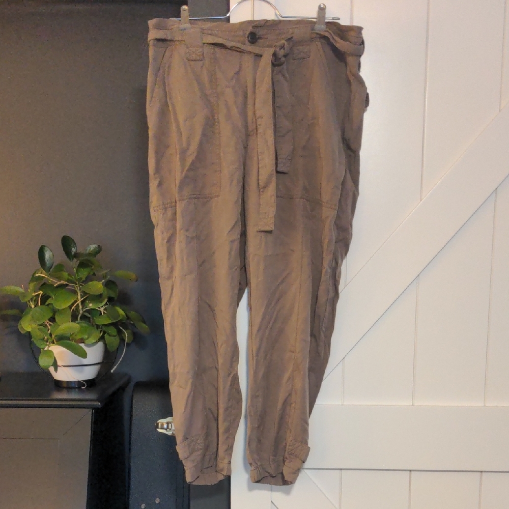 Banana Republic Taupe Trousers